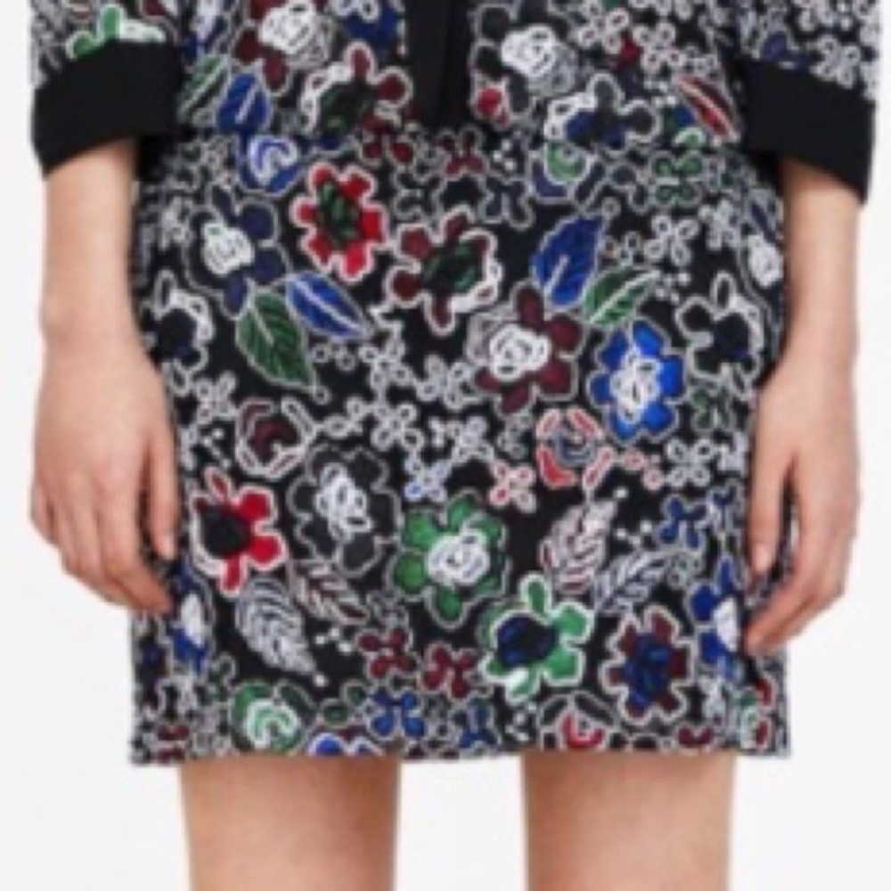 NWT EMBROIDERED FLORAL SKIRT FROM ZARA - M